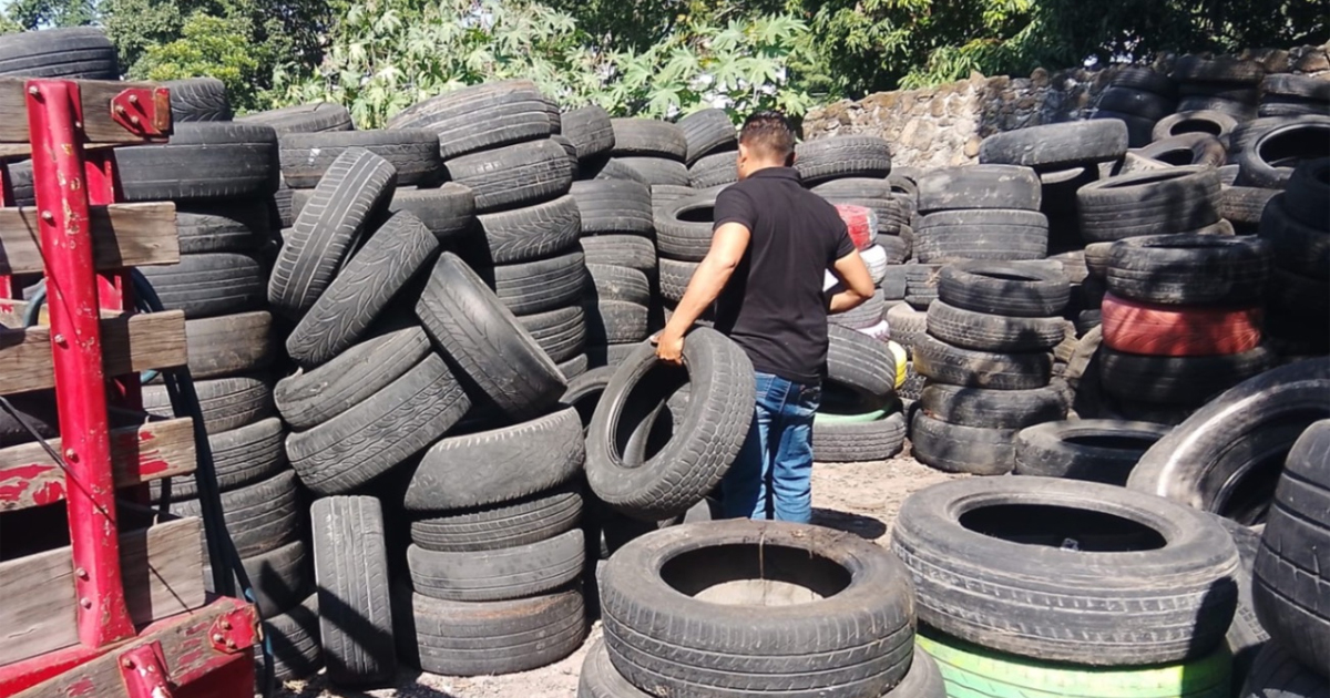 Despliega H. Ayuntamiento de Temixco brigadas de salud: fumigan, atienden comercios y recolectan 190 kg de cacharros